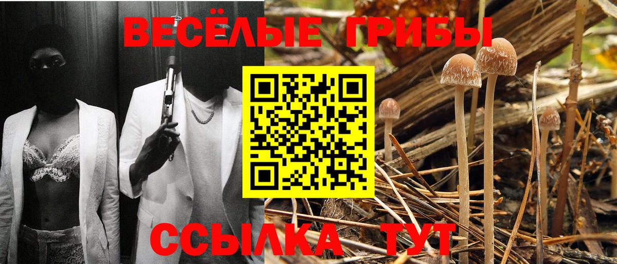 Галлюциногенные грибы Magic Shrooms  Вход с VPN  Мелеуз 